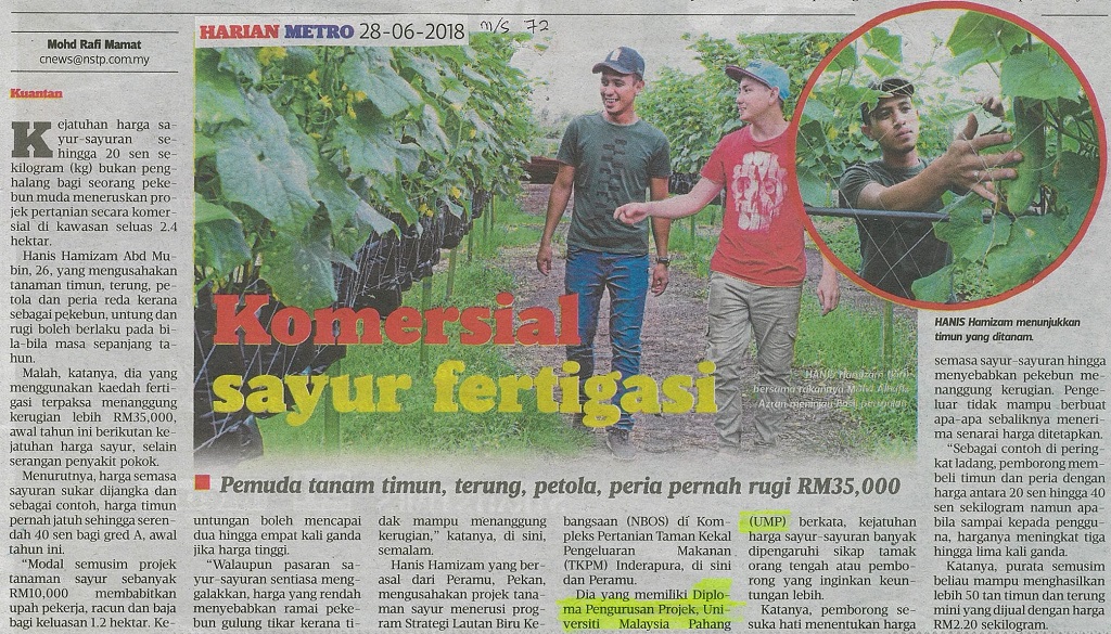 Komersial sayur fertigasi 