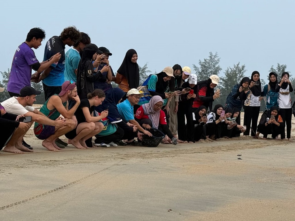 100 pelajar UMPSA santuni alam, tanam 200 pokok bakau dan lepas 100 anak penyu