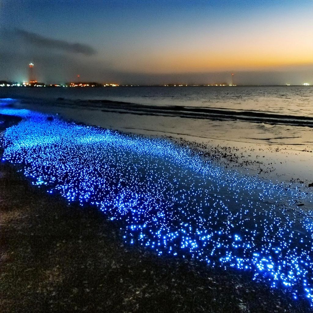 Bioluminesens di Pantai Tembeling: Fenomena Semula Jadi Melalui Perspektif Saintifik