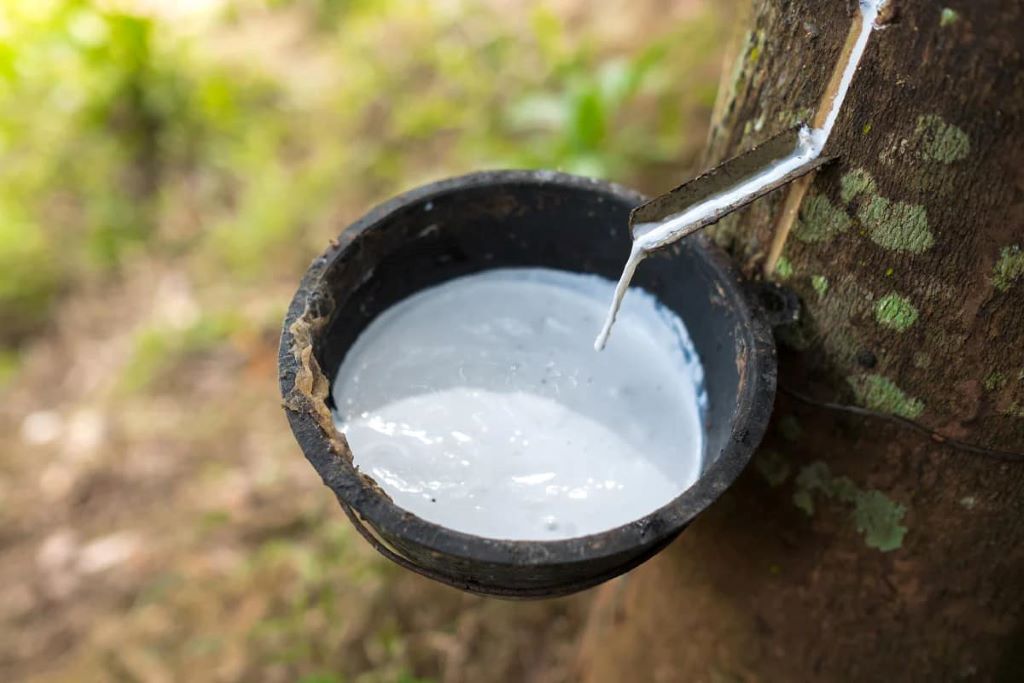 Lateks Getah Asli Pemacu Inovasi Pembinaan Lestari