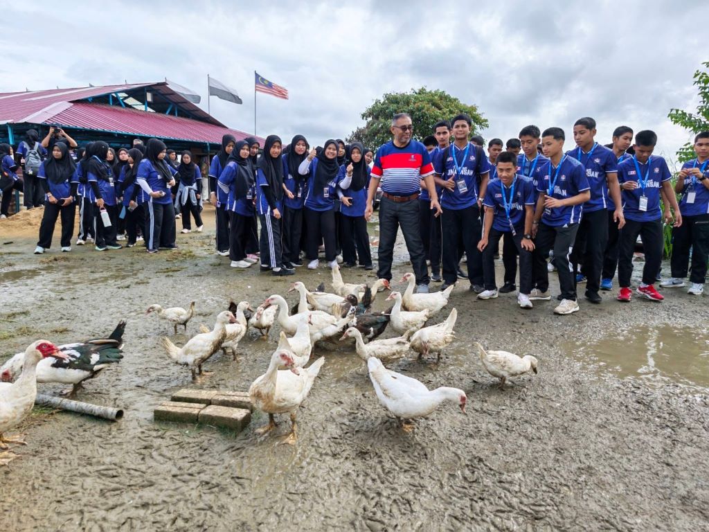 Role of UMPSA Researcher in Driving Success of Layer Duck Farming Entrepreneur in Pekan