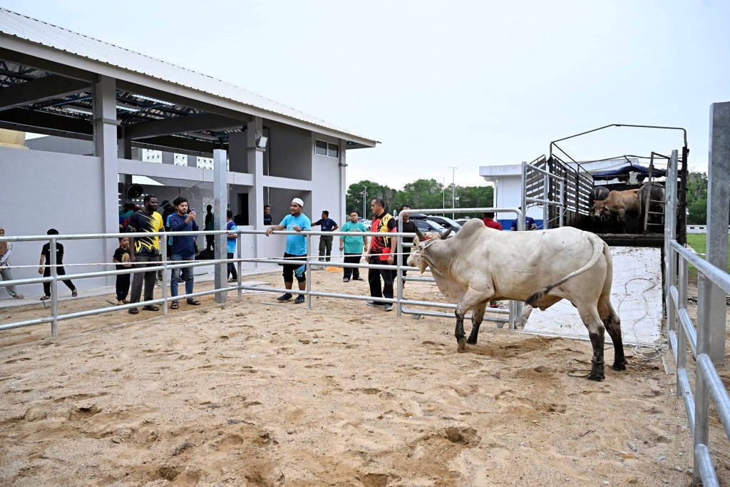 UMPSA agih kira-kira 691 kilogram daging korban santuni fakir, miskin dan komuniti