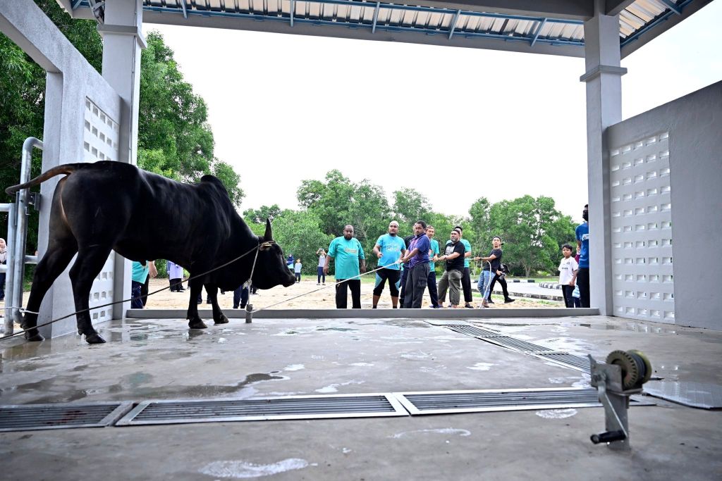 UMPSA agih kira-kira 691 kilogram daging korban santuni fakir, miskin dan komuniti