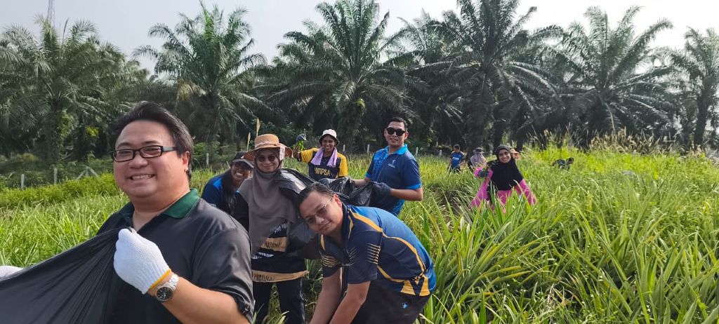 UMPSA perkasa kebun Nanas MD2, pacu ekonomi komuniti orang asli Kuin Lengut