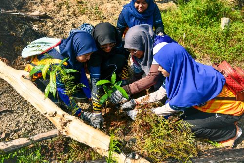 60 UMP Kilau volunteers plant 150 trees at Lake Chini