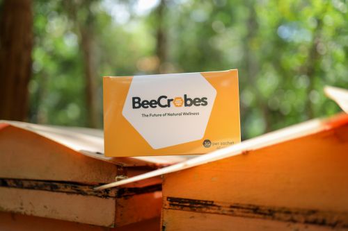 BeeCrobes, UMPSA researchers’ innovation, discovers potential of stingless bee honey as natural probiotic source