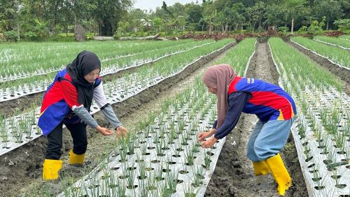 Kembara Mobiliti Yayasan UMPSA bawa misi pendidikan dan ihsan Ramadan ke Indonesia