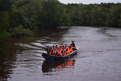 UMPSA and UMW collaboration planted 2,000 Mangrove trees in Cherating