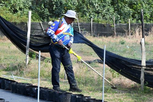 NC UMPSA santuni petani Kampung Bentan Pekan