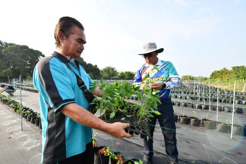 NC UMPSA santuni petani Kampung Bentan Pekan