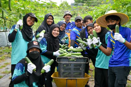 ECERDC-UMP Cucumber Fertigation Project empowers socioeconomy of Orang Asli