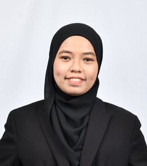 Politik Pejabat