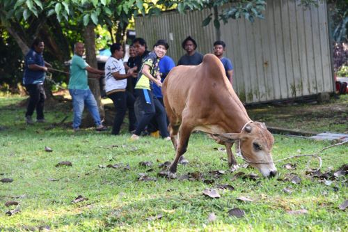 UMPSA jayakan ibadah korban sempena Aidiladha 1446H
