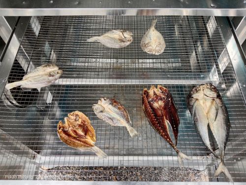 Ikan yang dikeringkan di dalam kebuk pengering hibrid adalah lebih bersih dan terlindung daripada habuk dan serangga.