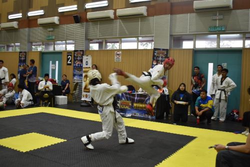 Atlet tae kwan do UMPSA unggul di Hwa Rang Hero Cup 2026