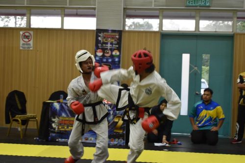 Atlet tae kwan do UMPSA unggul di Hwa Rang Hero Cup 2026