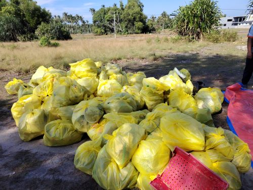 100 sukarelawan UMPSA, TMB, SWCorp dan Alam Flora bersihkan  Pantai Cherok Paloh sambil plogging