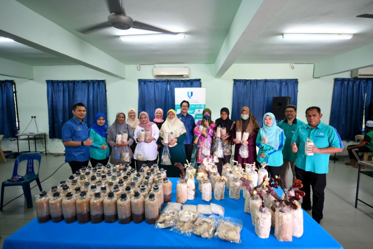 Program Outreach UMP-KPT santuni ibu tunggal dengan Inovasi Cendawan Nanas