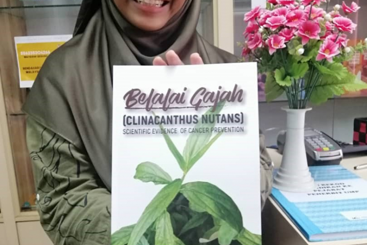  Belalai Gajah (Clinacanthus Nutans) Scientific Evidence of Cancer Prevention