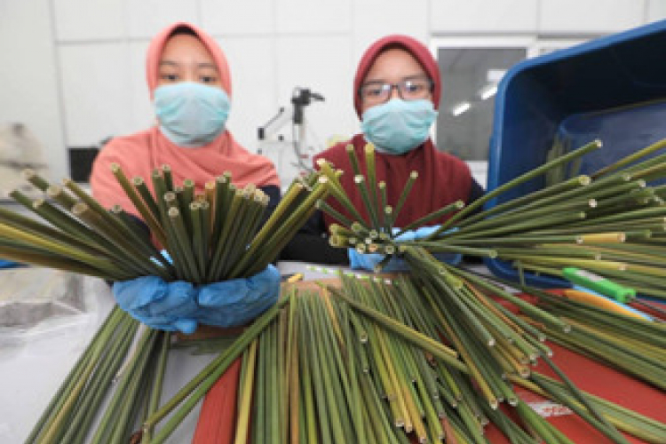 Jauhar Straw tersenarai 10 kumpulan perniagaan terbaik IPROCOM