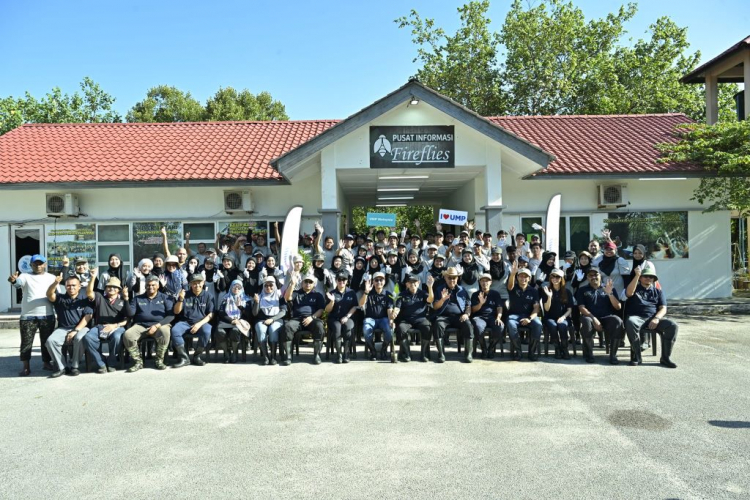 UMP and UMW Collaboration Plant 2,000 Mangrove Trees in Cherating