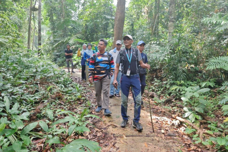 Pak Musa: Penjaga Fauna dan Malim Gunung Pulau Permata Tropika 