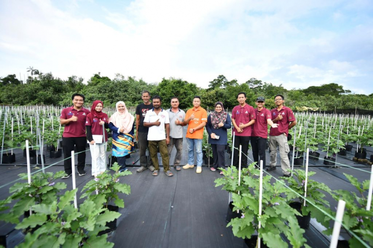 Penyelidik UMPSA kongsi kepakaran Sistem IoT dan fertigasi untuk pekebun di Pahang