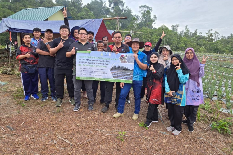 Profesor UMPSA turun padang untuk Projek Nanas MD2 pacu pendapatan komuniti Orang Asli