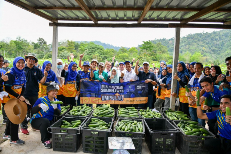 ECERDC-UMP Cucumber Fertigation Project empowers socioeconomy of Orang Asli