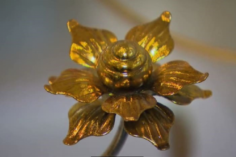 Tahukah anda sejarah bunga emas?
