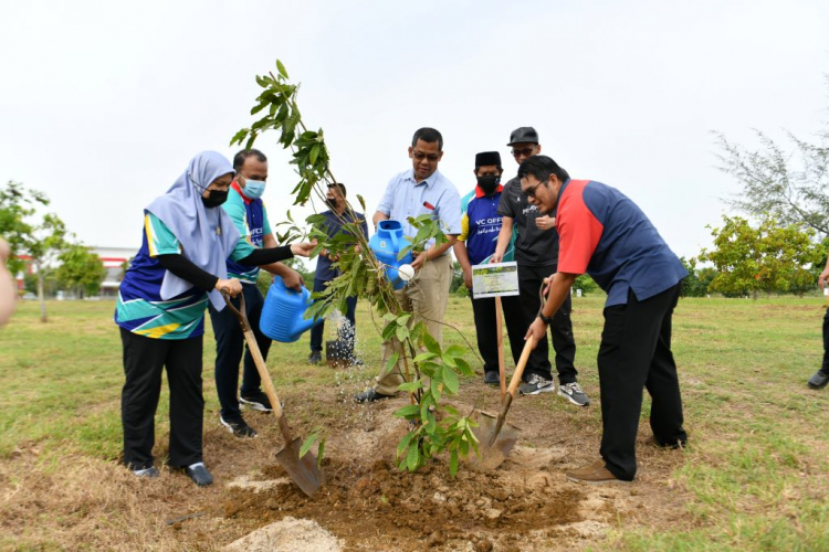  pokok nadir turut ditanam adalah pokok kelapa Matag