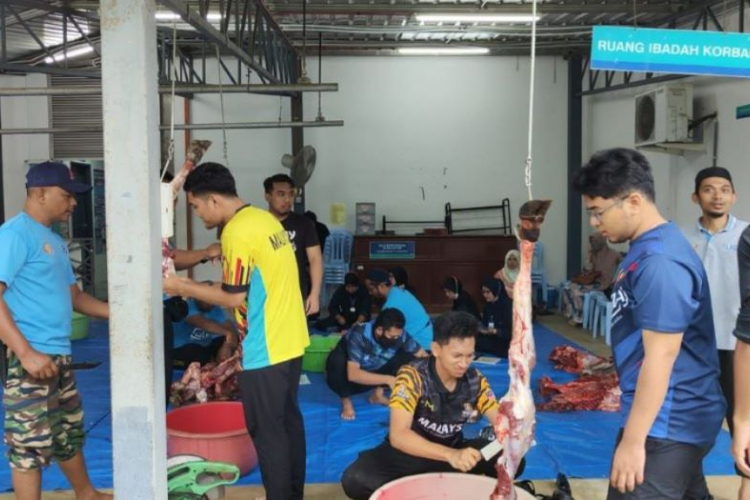 UMP observes qurban and aqiqah, 7 cows slaughtered