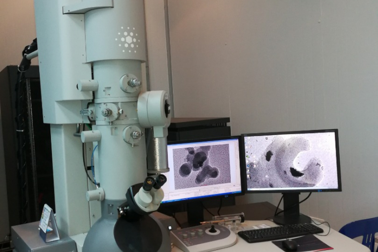  Cryo-Transmission Electron Microscopy: A Reliable Technique or Just Another Expensive Attachment?