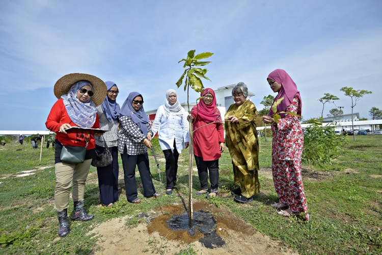 FRIM serah 1000 anak pokok hutan untuk kampus hijau lestari