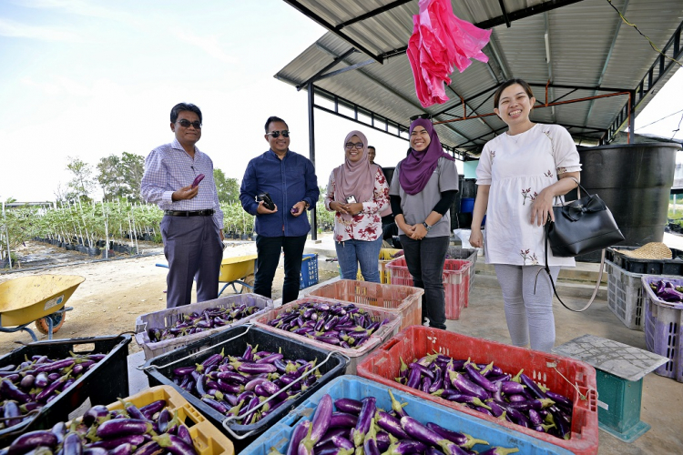 Indonesian undergraduates learned about fertigation system at UMP