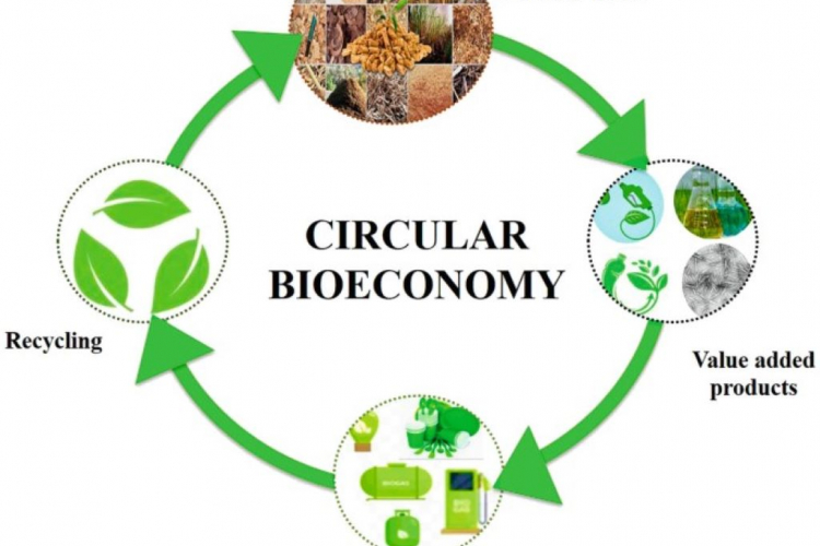 Biosumber sebagai alternatif dalam inovasi bahan komposit