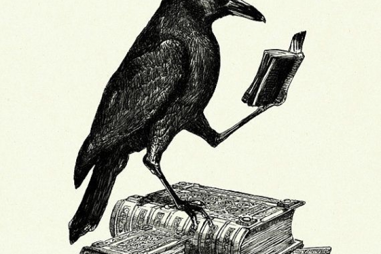 Kebijaksanaan Sang Gagak sebagai Arsitek Risiko dan Kecerdasan Buatan Berasaskan Biologi