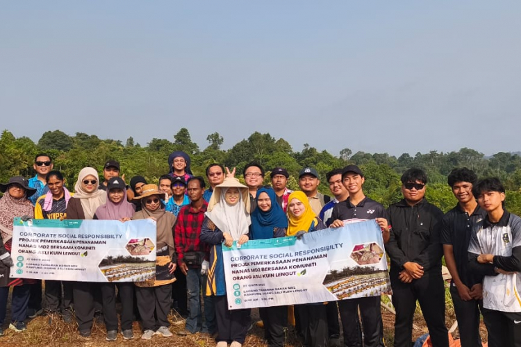 UMPSA perkasa kebun Nanas MD2, pacu ekonomi komuniti orang asli Kuin Lengut