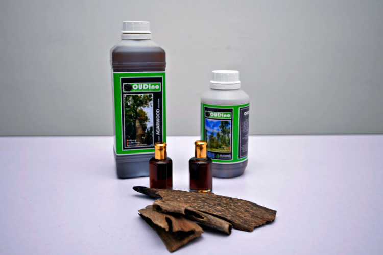 Nano-Inoculant formulation produces the best agarwood 