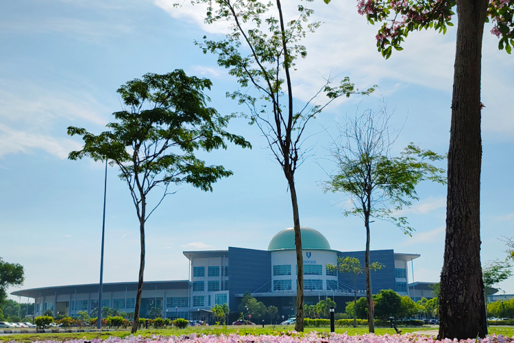 Keindahan pokok Tecoma yang  berwarna merah muda sekitar UMPSA Pekan memberi suasana seolah-olah berada di negara Jepun yang terkenal dengan bunga Sakura.