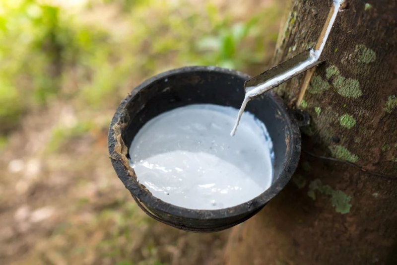 Lateks Getah Asli Pemacu Inovasi Pembinaan Lestari