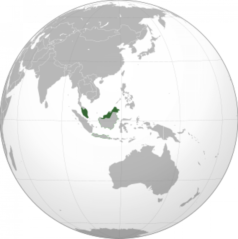 bumi